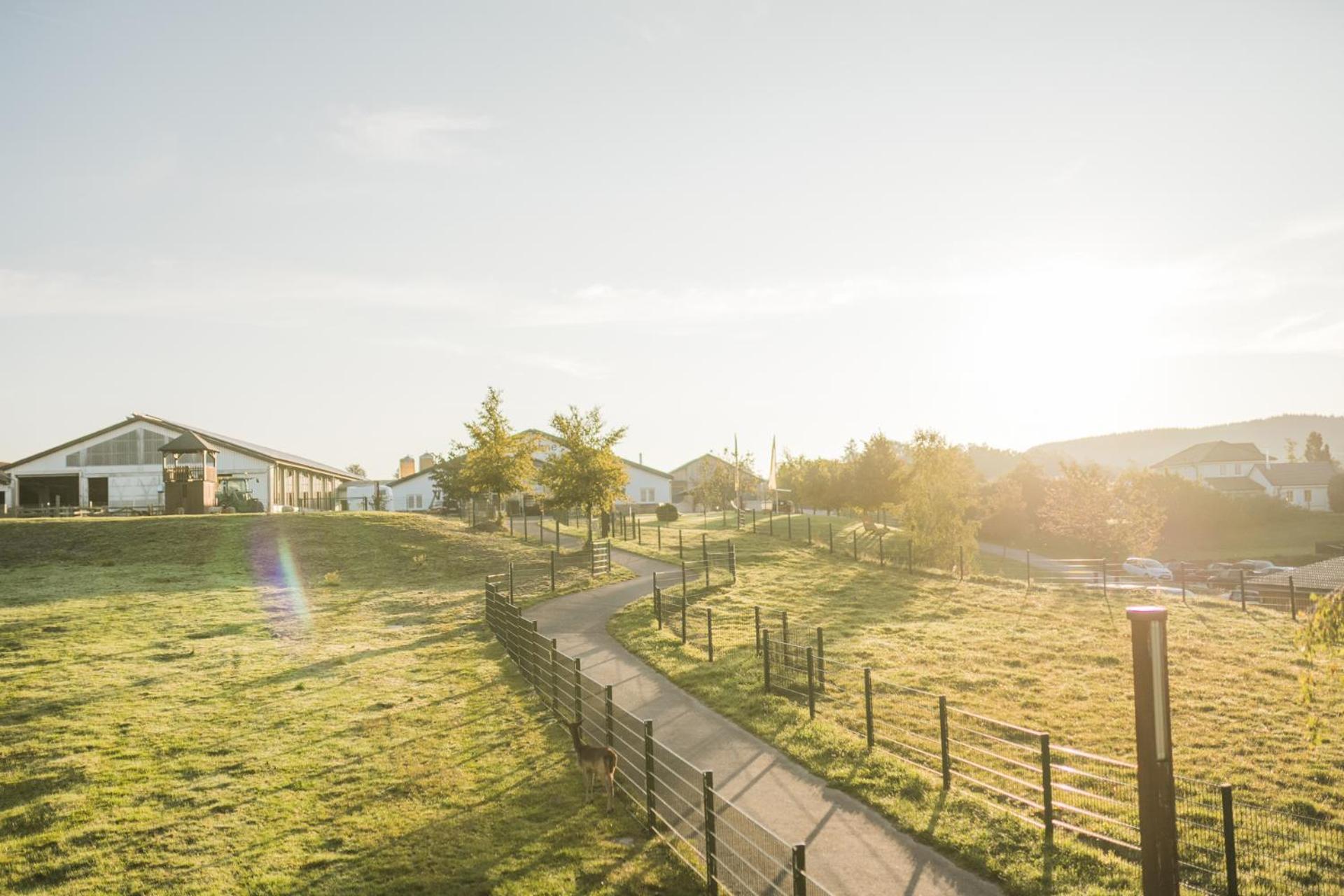 Hof Koehne - Haus An Der Weide Rechts Villa ชมาลเลนแบร์ก ภายนอก รูปภาพ